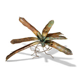 Bromeliad with Poison Dart Frogs Sculpture - CLIO SASKIA