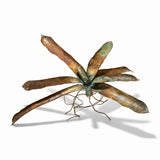 Bromeliad with Poison Dart Frogs Sculpture - CLIO SASKIA