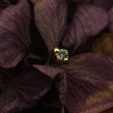 SAPPHIRE TIDBIT STUDS GOLD - Pair - CLIO SASKIA