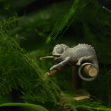 Chameleon Ring