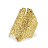 Product Image on white background BEARDED DRAGON ARMOUR RING [Pogona vitticeps] - CLIO SASKIA