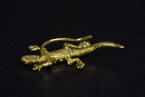 LIZARD EAR CLIMBER [Plestiodon fasciatus] - CLIO SASKIA